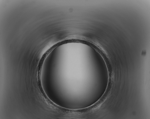 X0000089970877200707061159