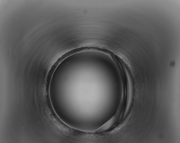 X0000089970880200707061158