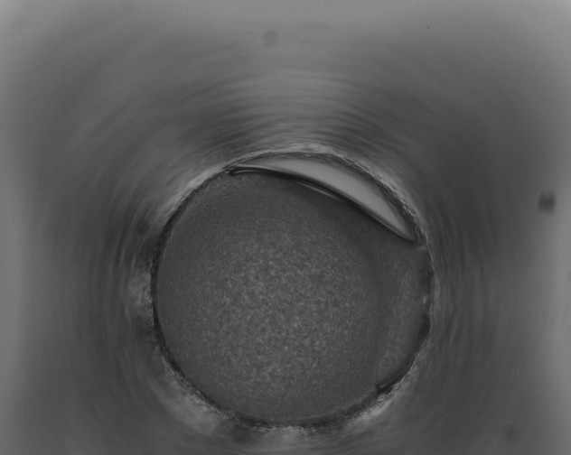 X0000089970881200707061158