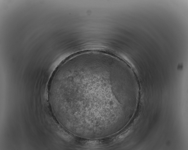 X0000089970883200707061158