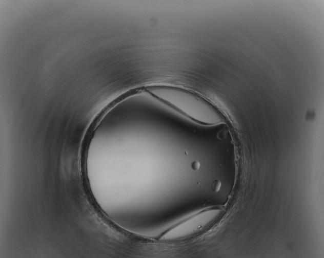 X0000089970884200707061158