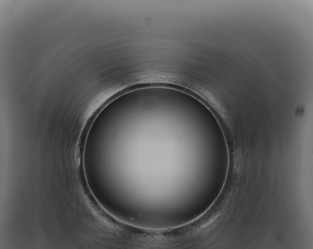 X0000089970885200707061158