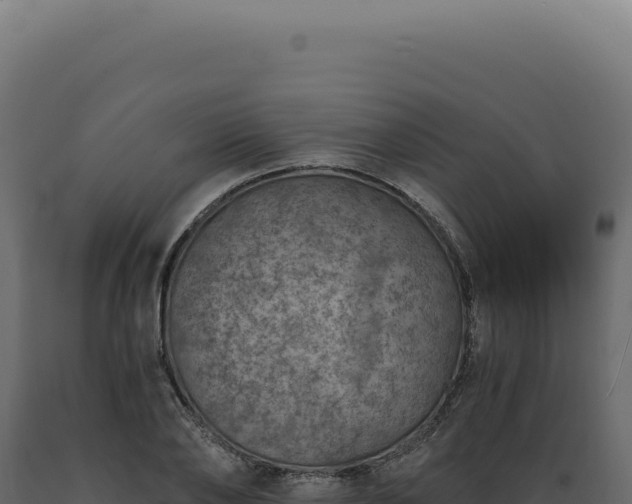 X0000089970886200707061158