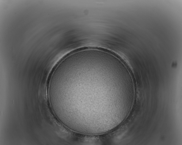 X0000089970887200707061158