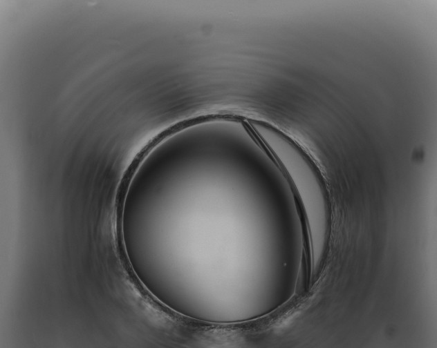 X0000089970888200707061158