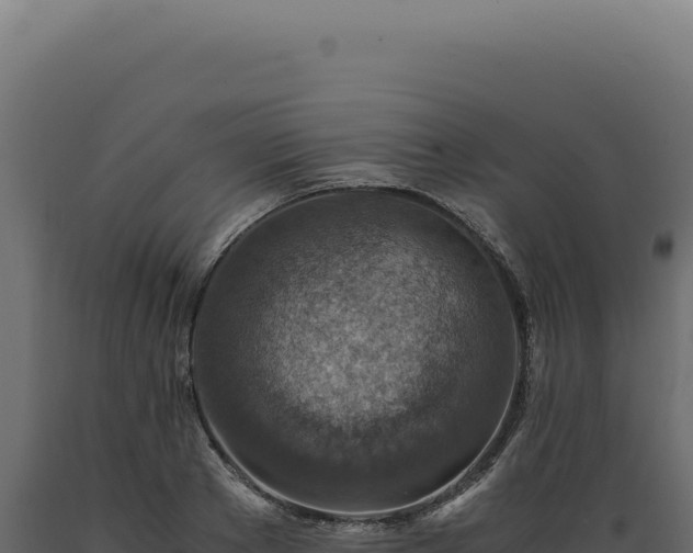 X0000089970889200707061158