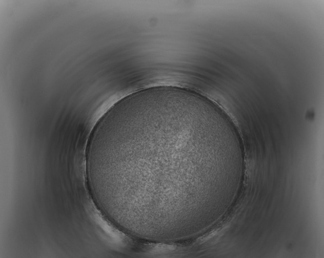 X0000089970890200707061158