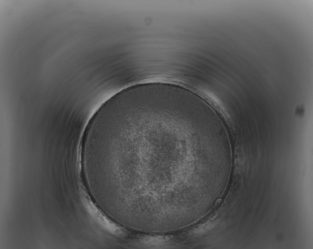 X0000089970892200707061158