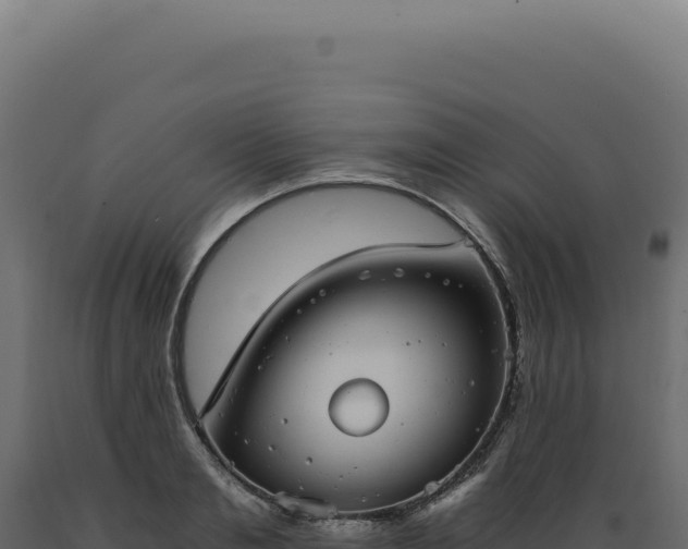 X0000089970893200707061158