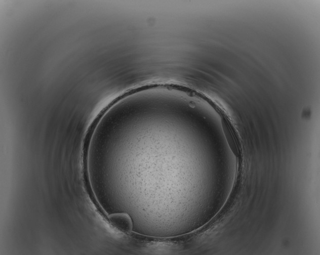 X0000089970894200707061158