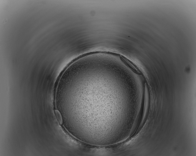 X0000089970896200707061158