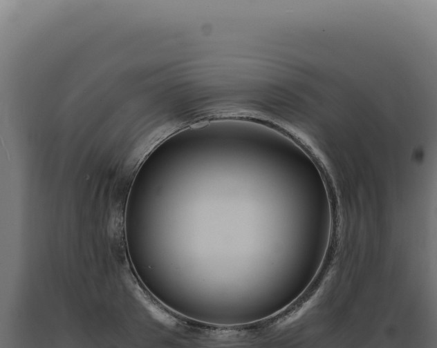 X0000089970897200707061158