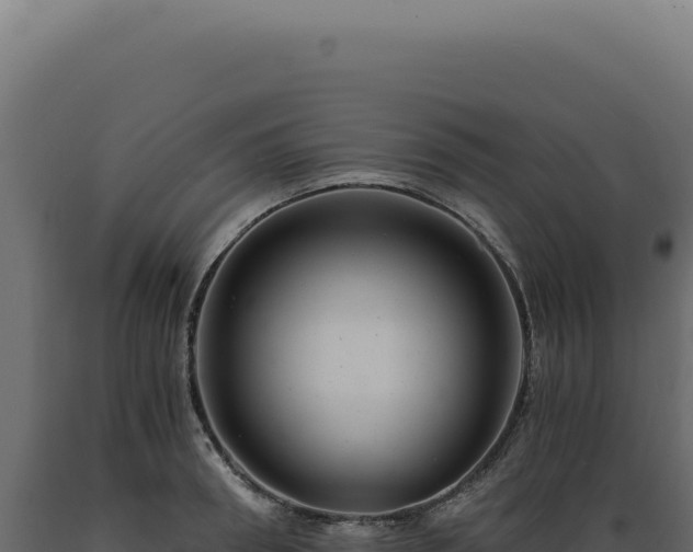 X0000089970898200707061158