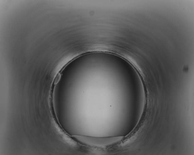 X0000089970901200707061158