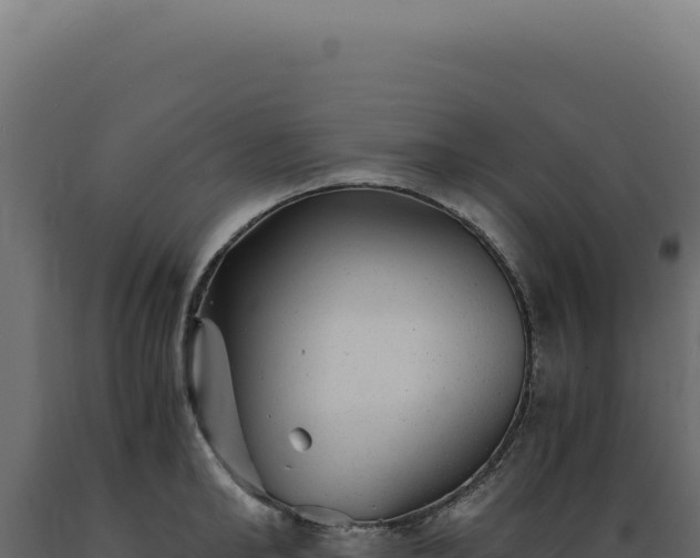 X0000089970902200707061158