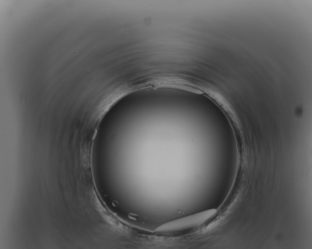 X0000089970905200707061158