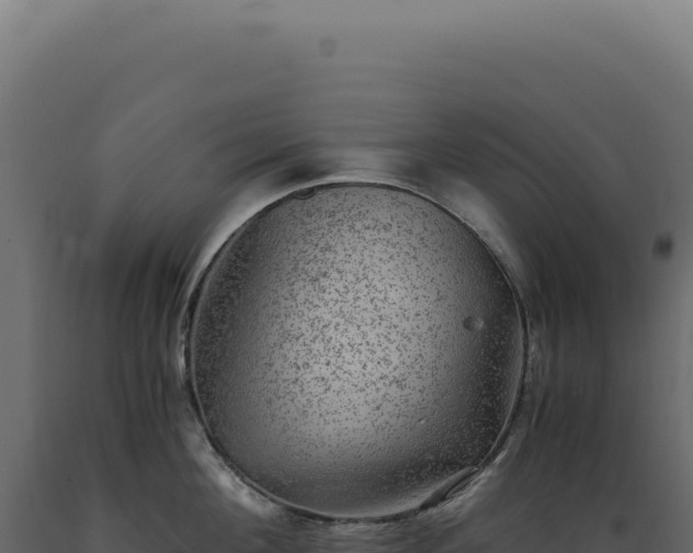 X0000089970908200707061158