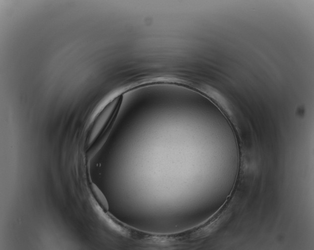 X0000089970910200707061158