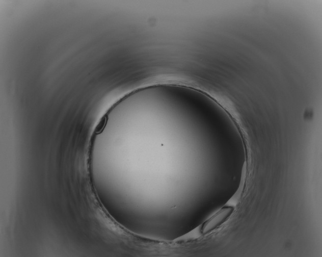 X0000089970912200707061158
