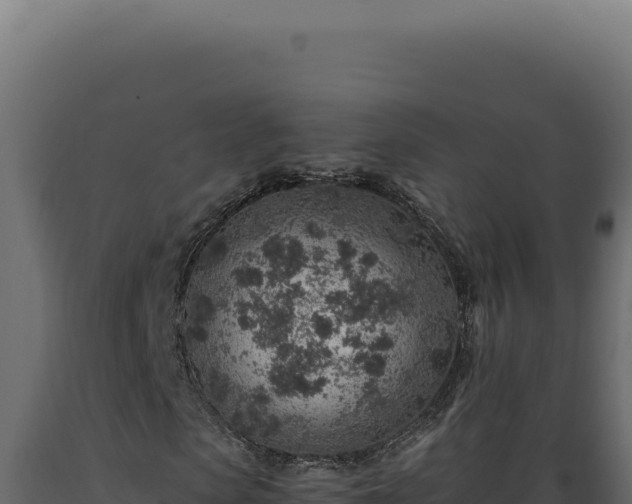 X0000089970913200707061157