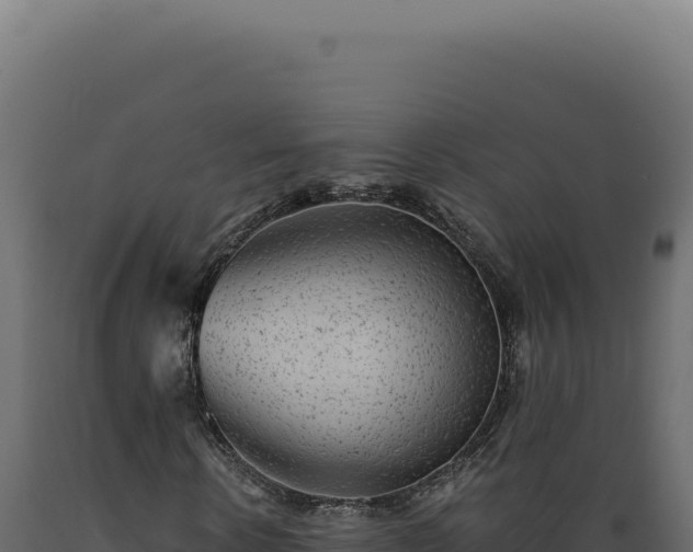 X0000089970914200707061157