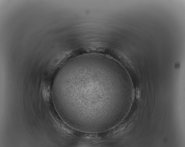 X0000089970915200707061157