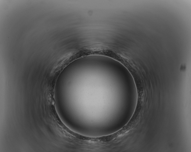 X0000089970916200707061157