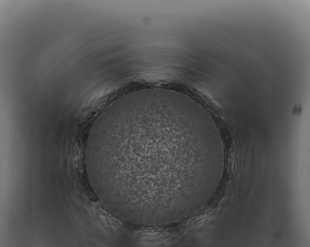 X0000089970917200707061157