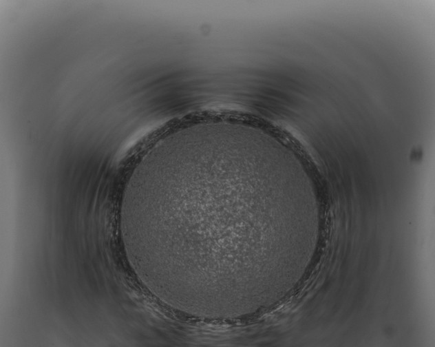 X0000089970919200707061157