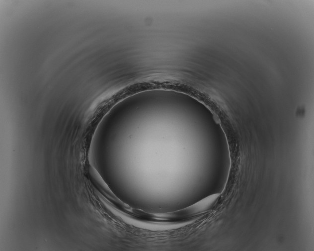 X0000089970920200707061157