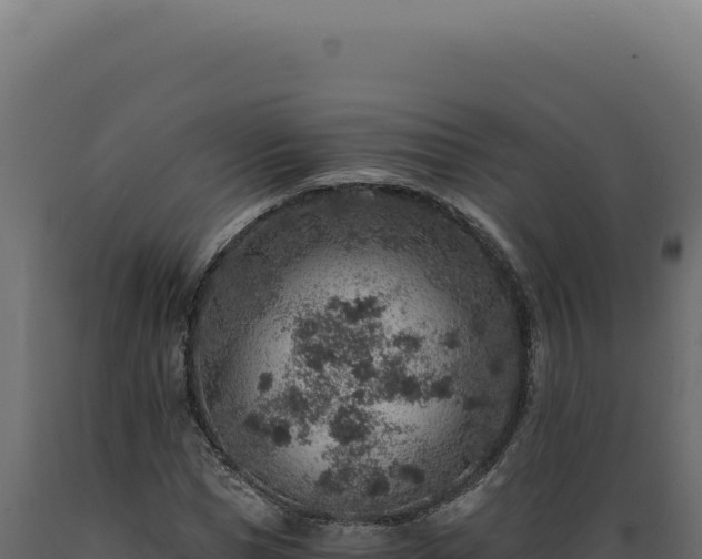 X0000089970921200707061157
