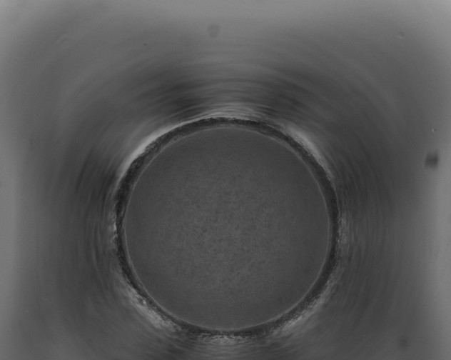 X0000089970923200707061157