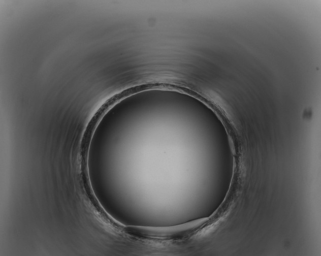 X0000089970924200707061157