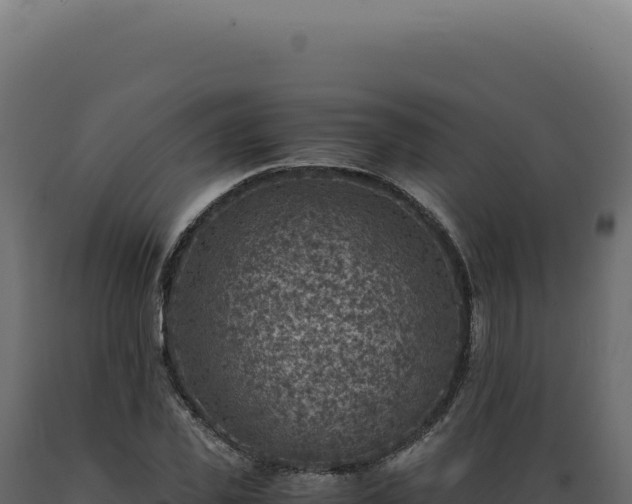 X0000089970925200707061157