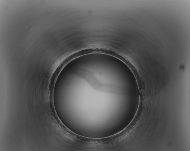 X0000089970927200707061158