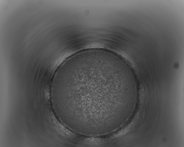 X0000089970929200707061158