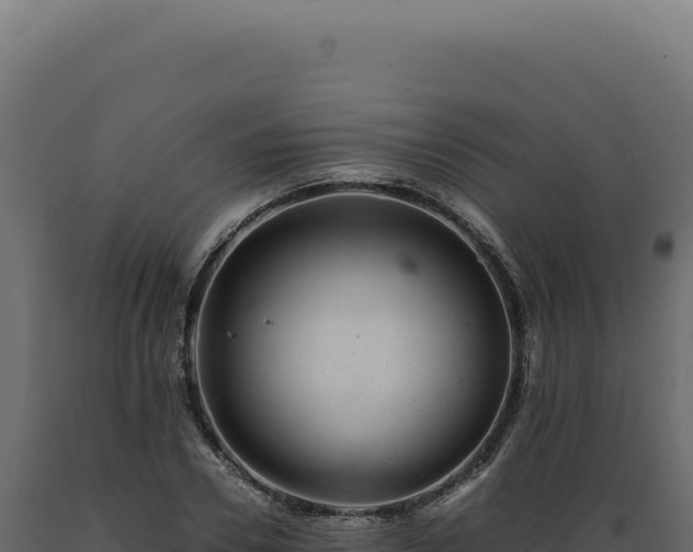 X0000089970930200707061158