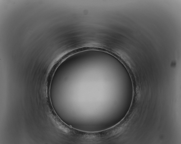 X0000089970931200707061158