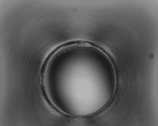 X0000089970934200707061158