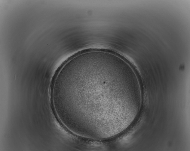 X0000089970935200707061158