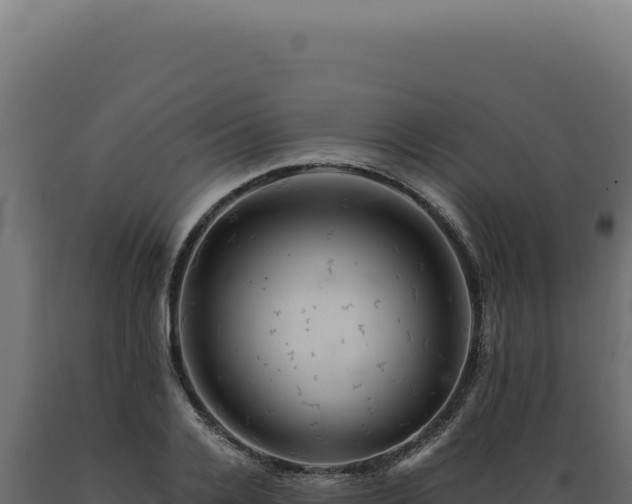 X0000089970936200707061158