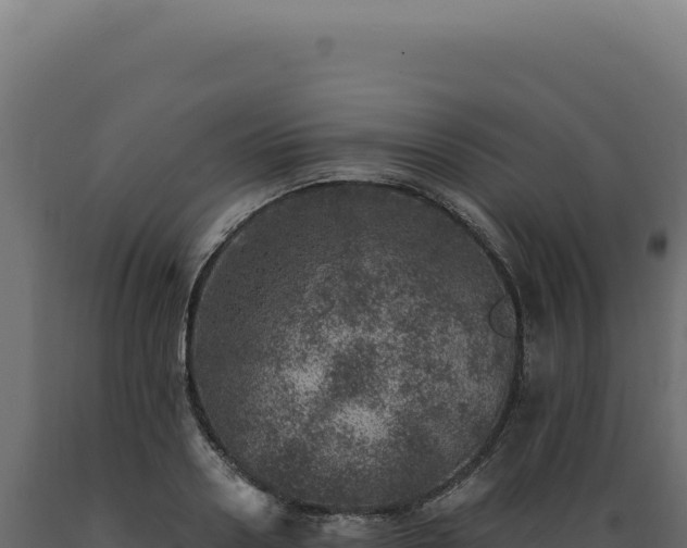 X0000089970938200707061158