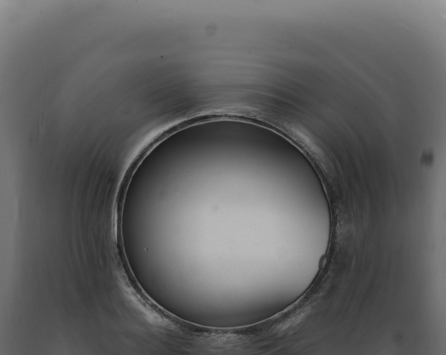 X0000089970940200707061158
