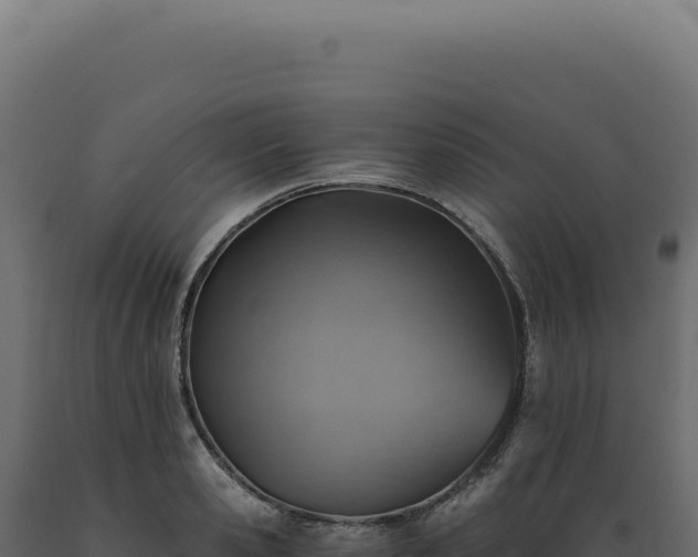 X0000089970941200707061158