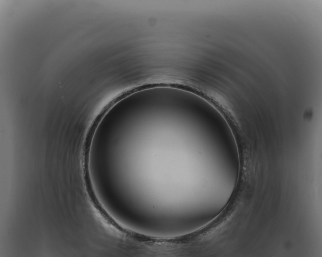 X0000089970942200707061158