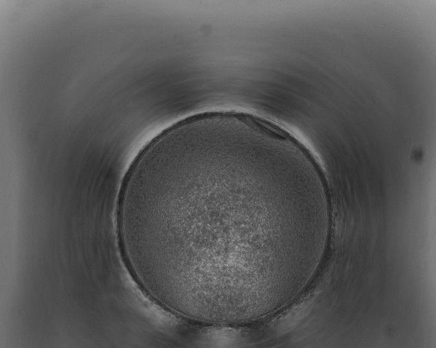 X0000089970943200707061158