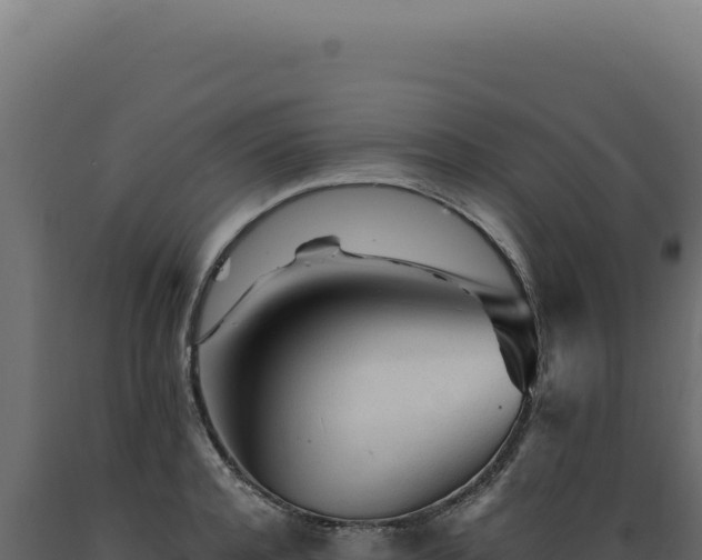 X0000089970944200707061158