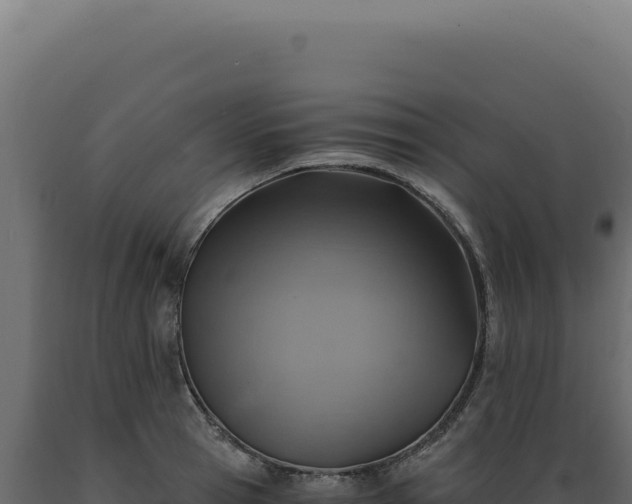 X0000089970945200707061158