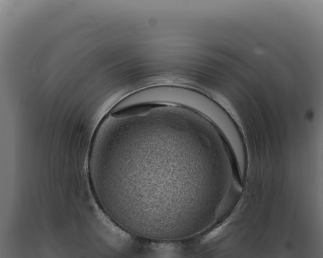 X0000089970946200707061158