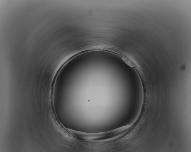 X0000089970948200707061158